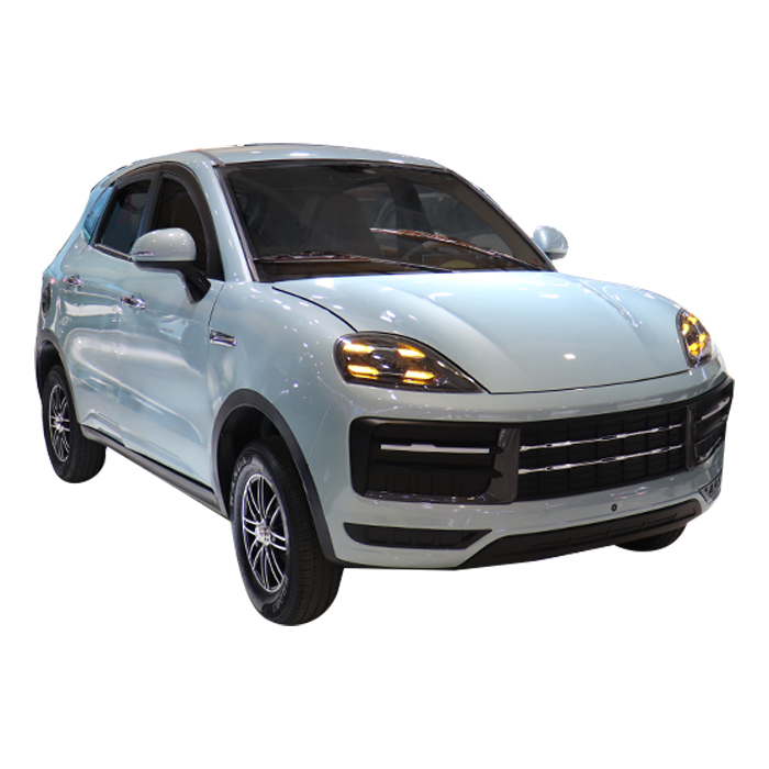 2024 High Quality Mini Electric Car Brand New New Energy Vehicle with Lithium Battery Originating Mini Car