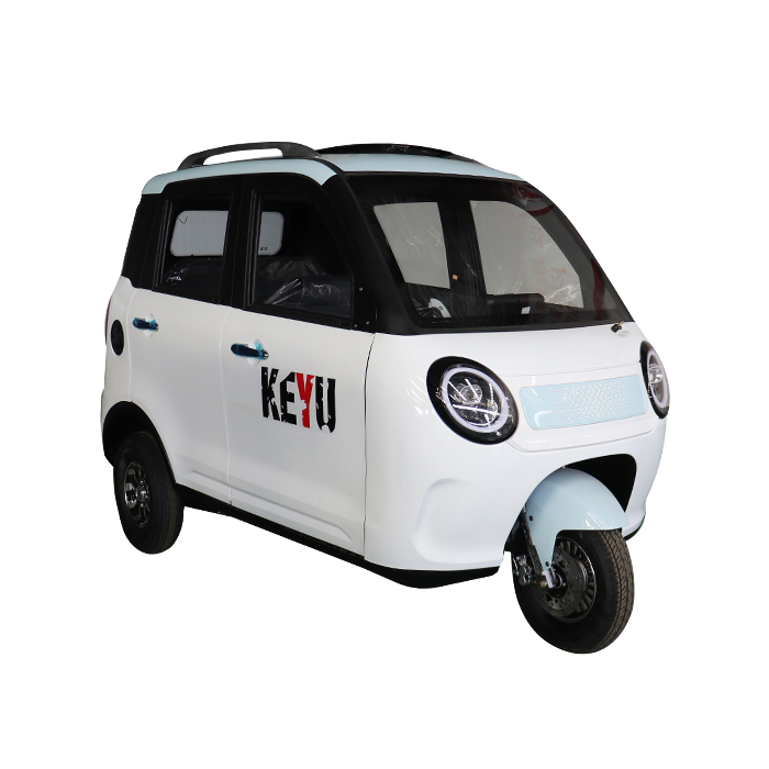 New Arrival Enclosed Rainproof Motor 1000W 3 Wheel Mini Car Closed Cabin Tricycle for Passenger Family Use