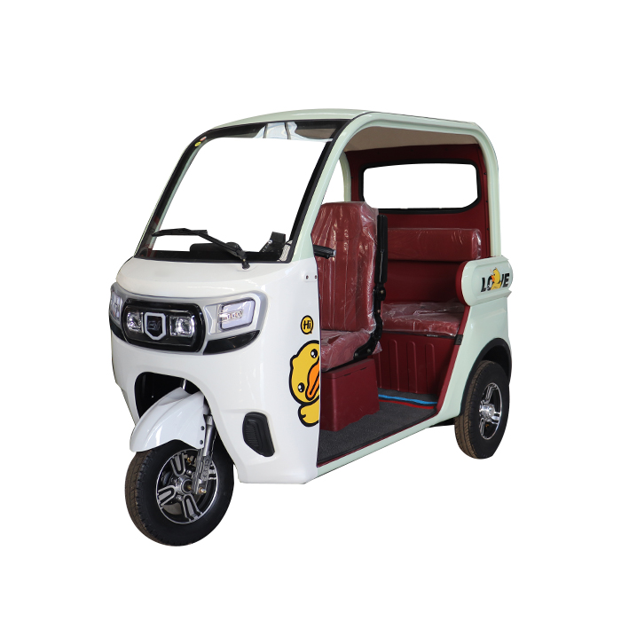 Made In China Roof Hot Sale Adult Electric Tricycle Bike