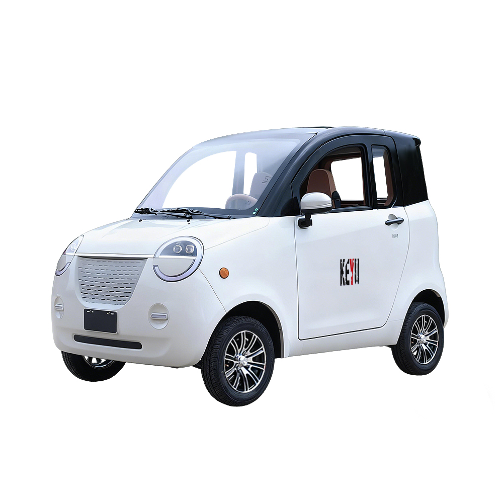 DL Electric small car