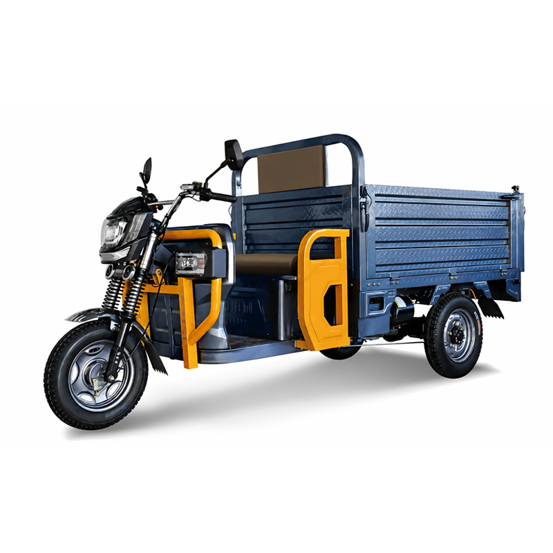 BSL-LJ180 Electric tricycle