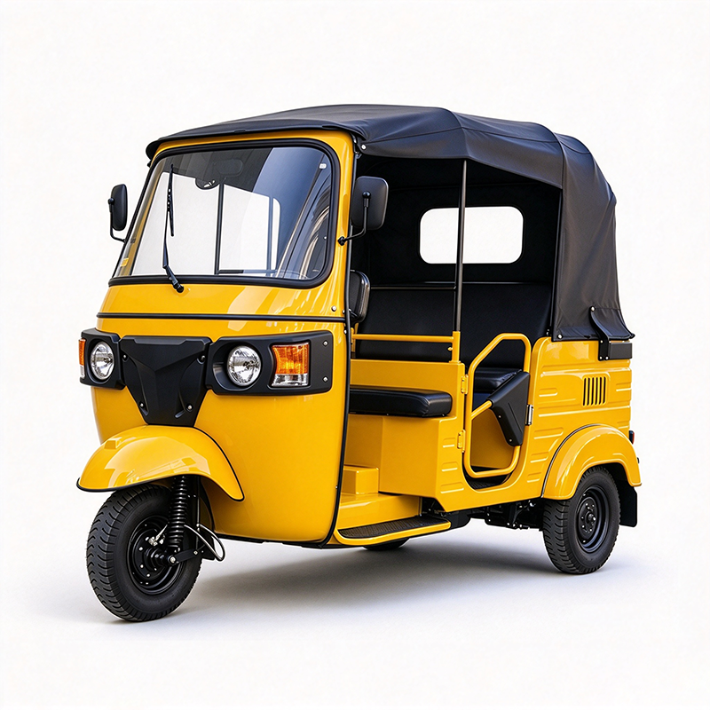 BS250ZK Electric Tricycle